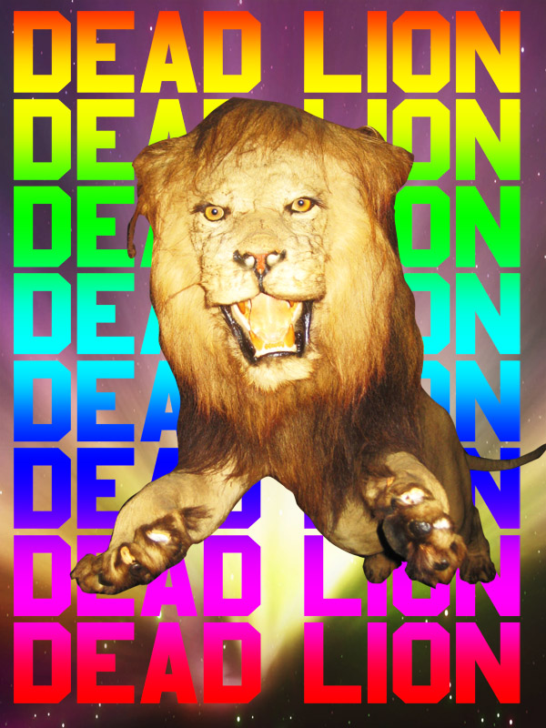 dead lion