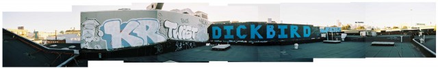 dickbirdpan80