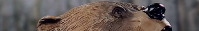 bear_video_thumbnail