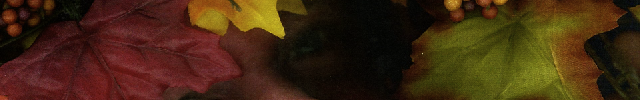 photocopier_self_portrait